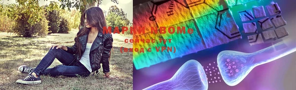 сатива Абаза