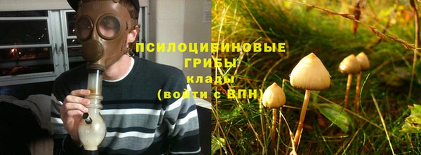 сатива Абаза