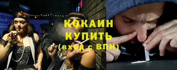прущие грибы Ростов