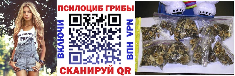 Галлюциногенные грибы Psilocybe где можно купить наркотик Ковдор